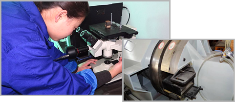 FH至尊(中国区)集团