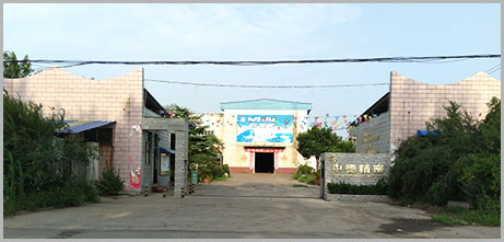 FH至尊(中国区)集团